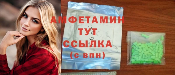 индика Майский