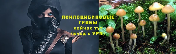 трава Лихославль