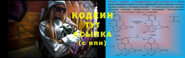 тгк Лиски