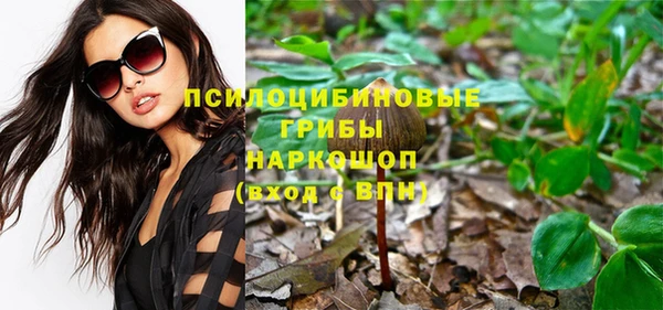 ГАЛЛЮЦИНОГЕННЫЕ ГРИБЫ Магас