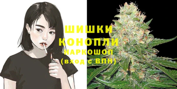 тгк Лиски