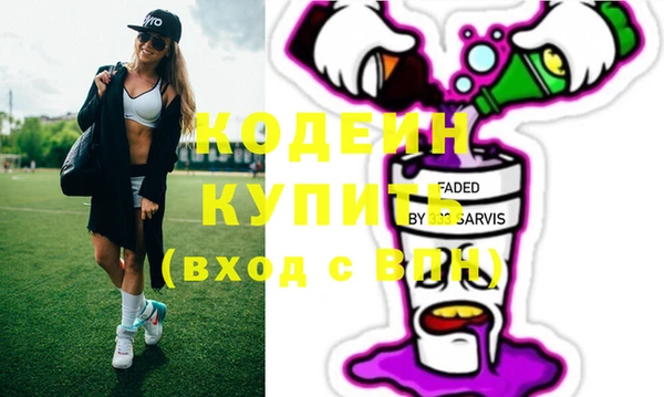 соль ск Ладушкин