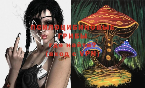 тгк Лиски