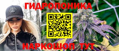 дурь Кандалакша